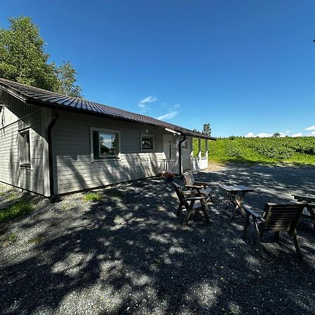 Maatilamatkailu Jaenisvaara Kolinkylä Extérieur photo