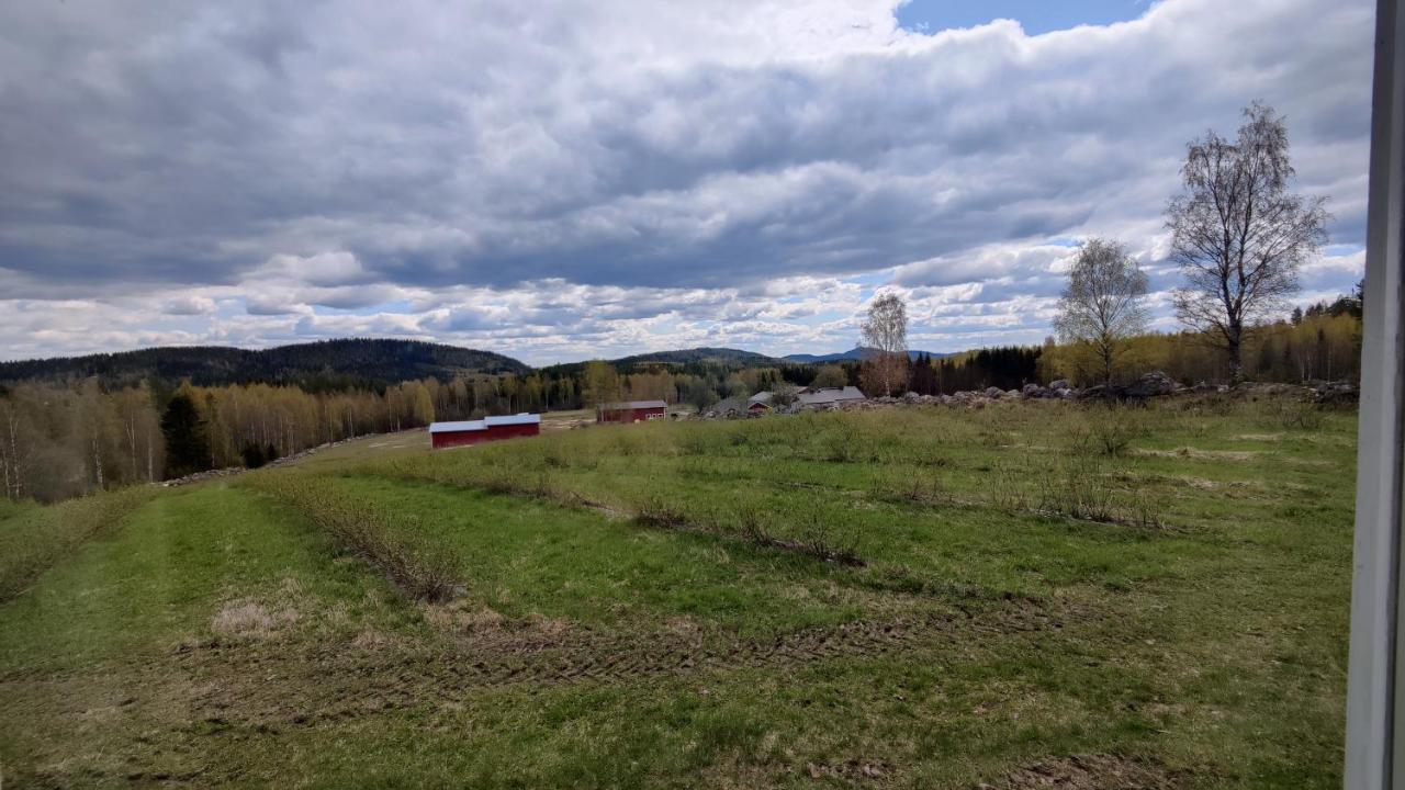 Maatilamatkailu Jaenisvaara Kolinkylä Extérieur photo