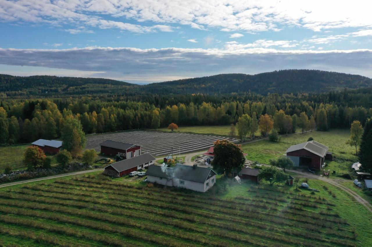 Maatilamatkailu Jaenisvaara Kolinkylä Extérieur photo