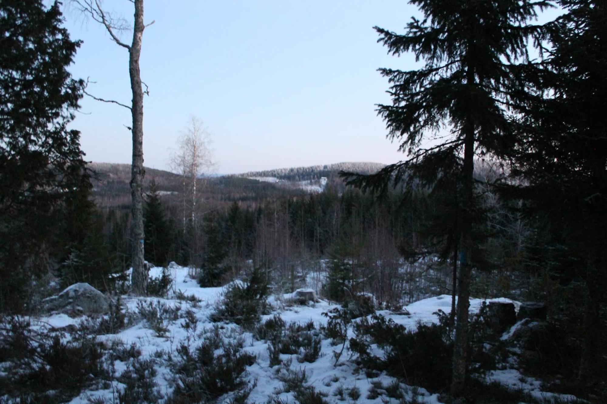 Maatilamatkailu Jaenisvaara Kolinkylä Chambre photo