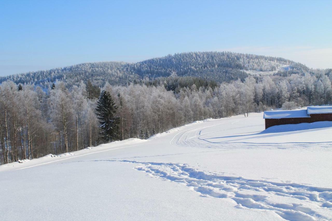Maatilamatkailu Jaenisvaara Kolinkylä Extérieur photo
