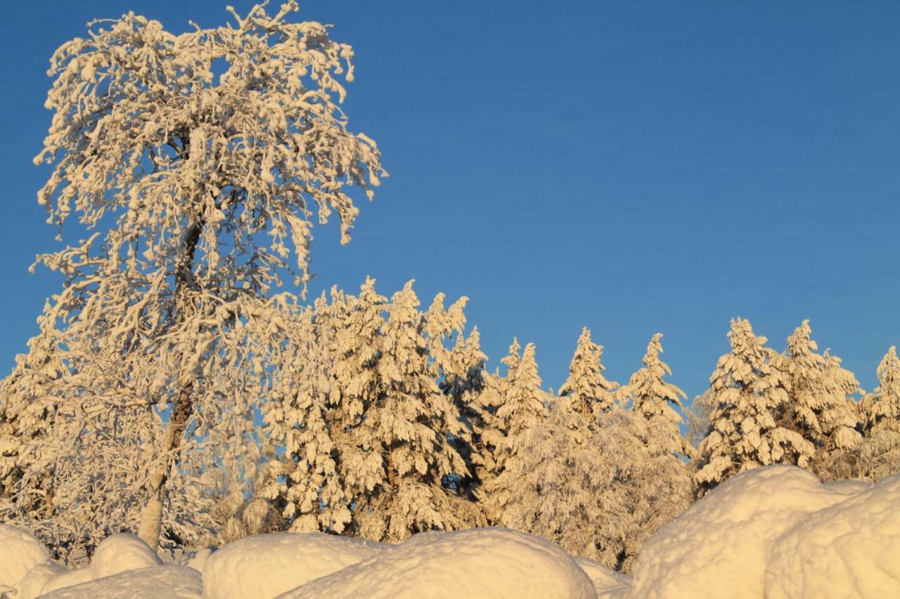 Maatilamatkailu Jaenisvaara Kolinkylä Extérieur photo