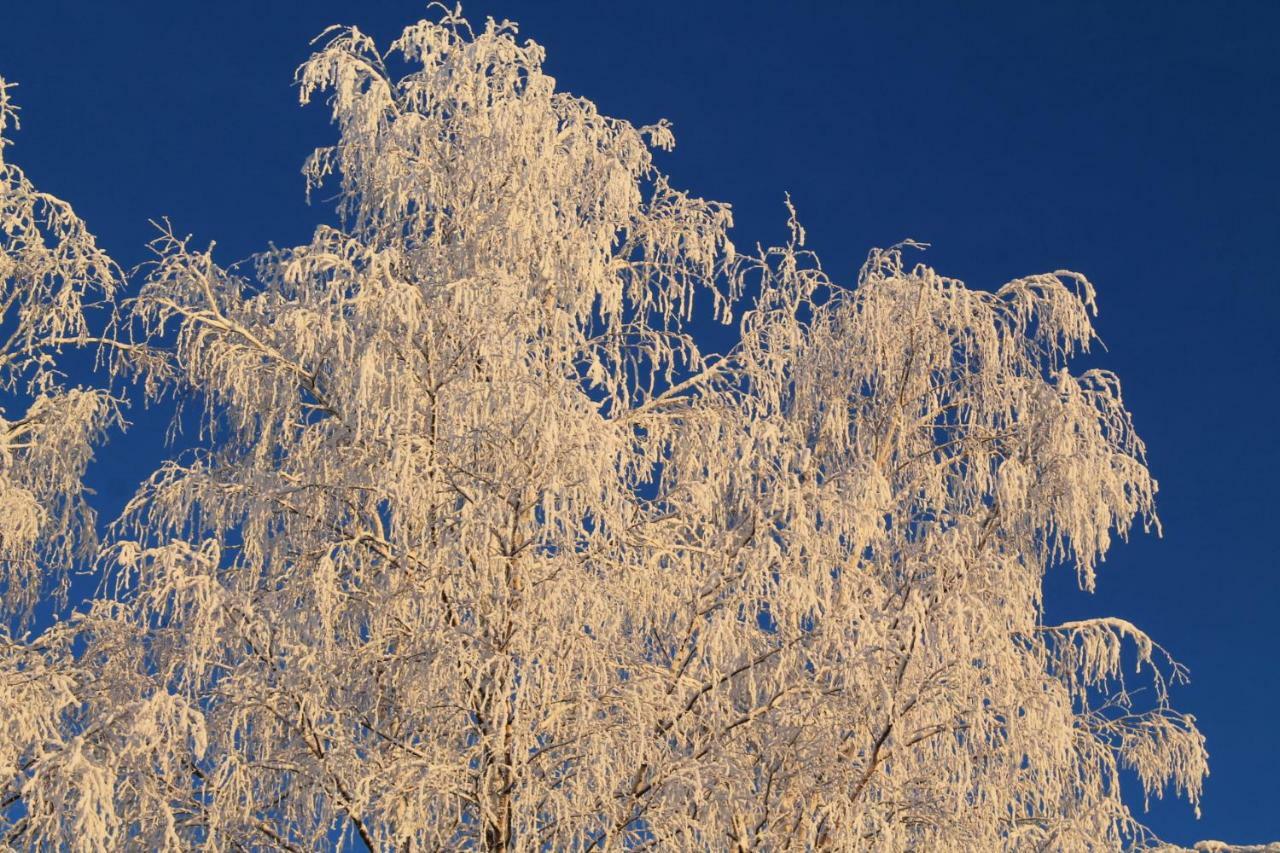 Maatilamatkailu Jaenisvaara Kolinkylä Extérieur photo